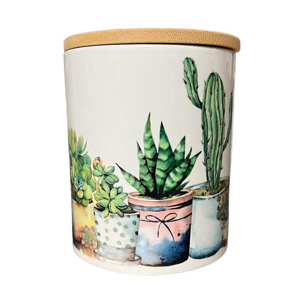Cactus succulents plants soy wax candle